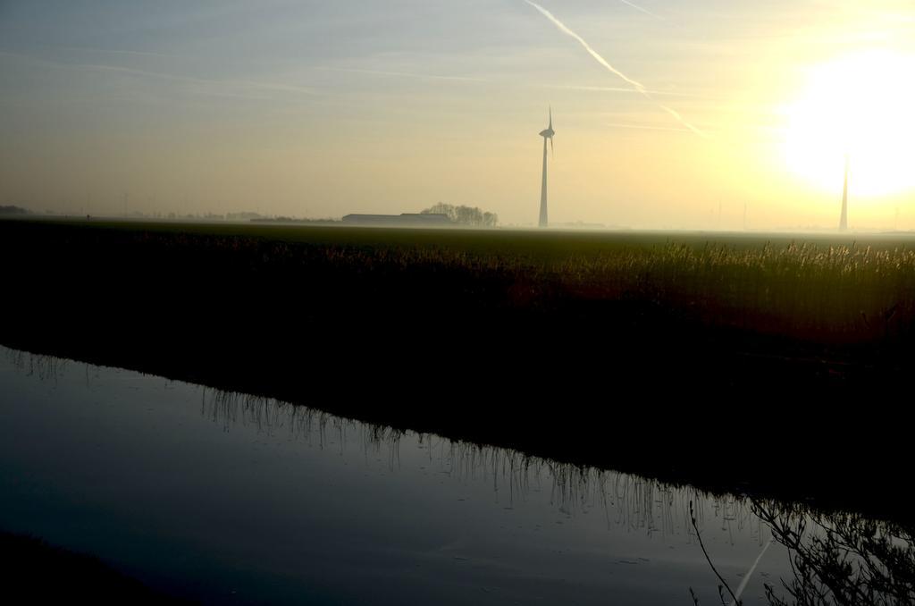 Am Alten Hafen نايهالينجازييل المظهر الخارجي الصورة